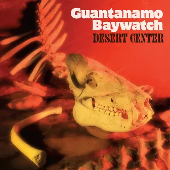 Desert Center by Guantanamo Baywatch