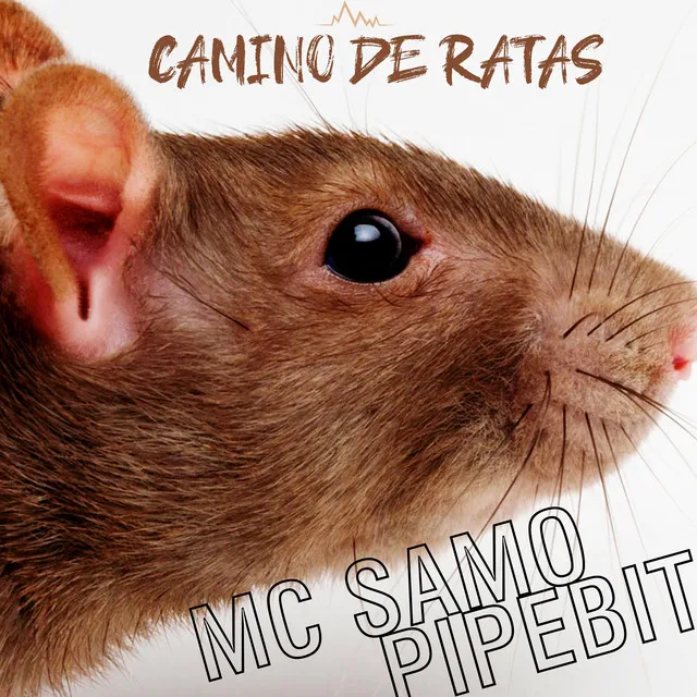 Caminos de Ratas