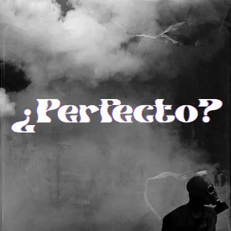 ¿Perfecto? by Teka