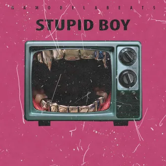 Stupid Boy by Namodelabeats