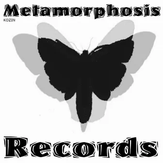 Metamorphosis by Kozin