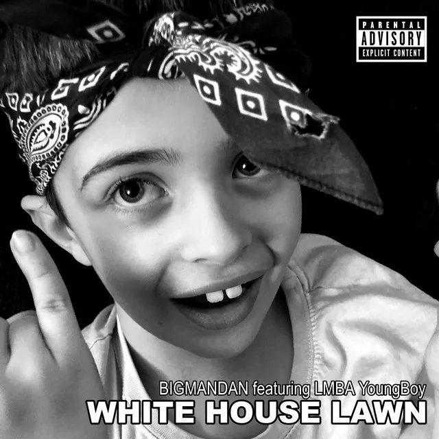 White House Lawn