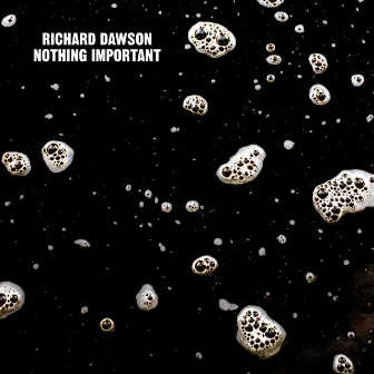 Nothing Important by Richard Dawson