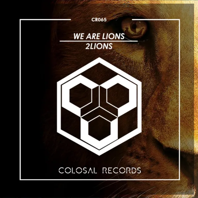 We Are Lions - Original Mix