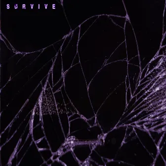 Survive by Supernatural Frequency