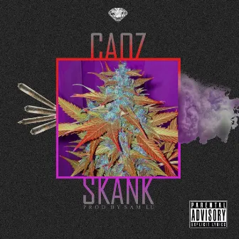 Skank by Caoz