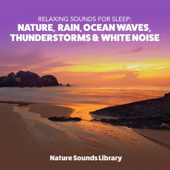 Relaxing Sounds for Sleep: Nature, Rain, Ocean Waves, Thunderstorms & White Noise by Nature Sounds Library