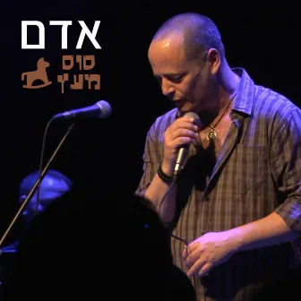 סוס מעץ by Adam