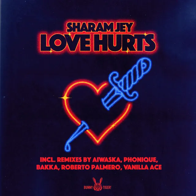 Love Hurts - Roberto Palmero Remix