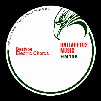 Electric Chords by Beatype