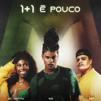 1+1 É Pouco by Mc Soffia