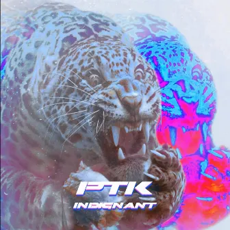 INDIGNANT by PTK