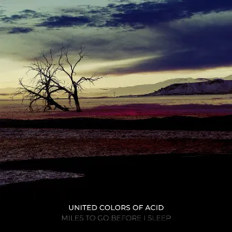 Miles To Go Before I Sleep by United Colors Of Acid