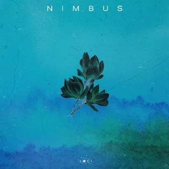 Nimbus by Verdance