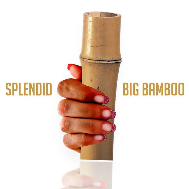 Big Bamboo (Radio Edit)