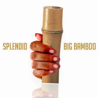 Big Bamboo (Radio Edit) by Splendid