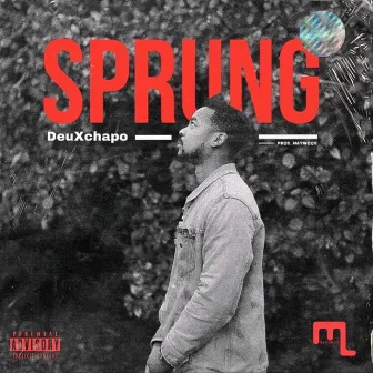 Sprung by DeuXchapo