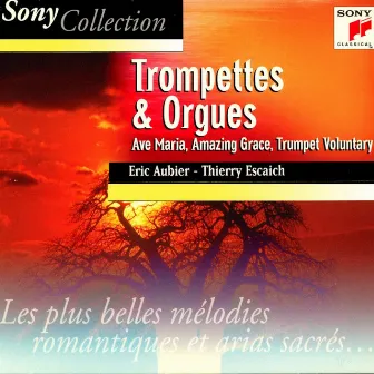 Trompettes et orgues, trumpet and organ by Thierry Escaich