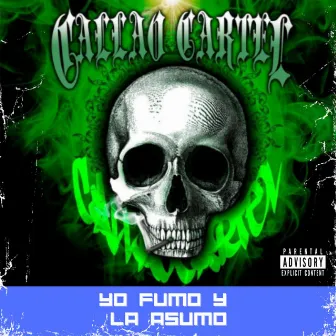 Yo Fumo y la Asumo by Callao Cartel