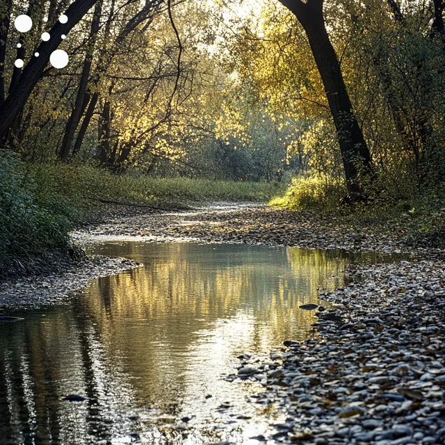 Morning Creek Light