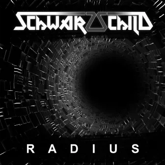 Radius by Schwarzschild