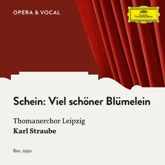 Schein: Viel schöner Blümelein by Karl Straube