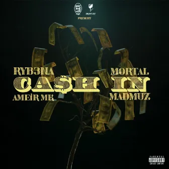 Cash In by Mortal Rhyme