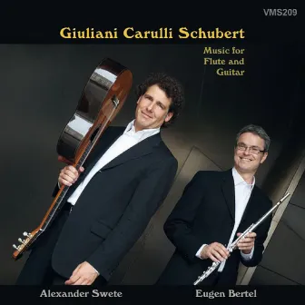 Giuliani, Carulli & Schubert by Alexander Swete