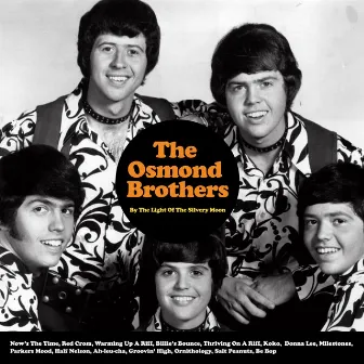 By the Light of the Silvery Moon by The Osmond Brothers