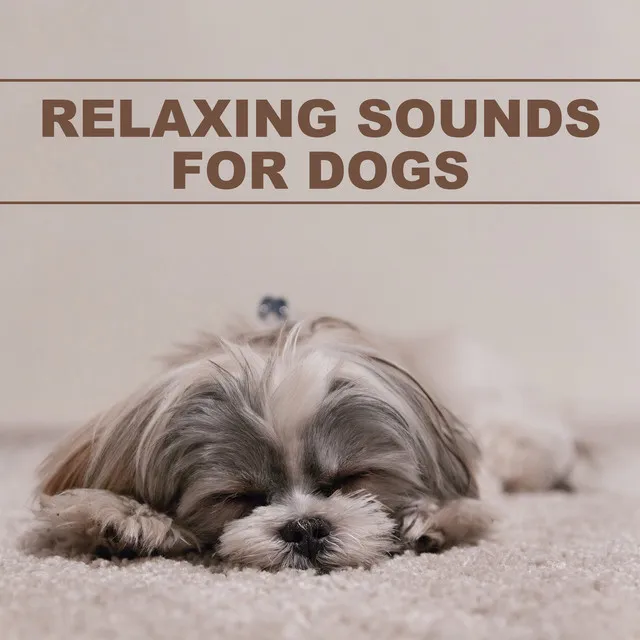 Relaxing Sounds for Dogs