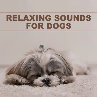 Relaxing Sounds for Dogs by Unknown Artist