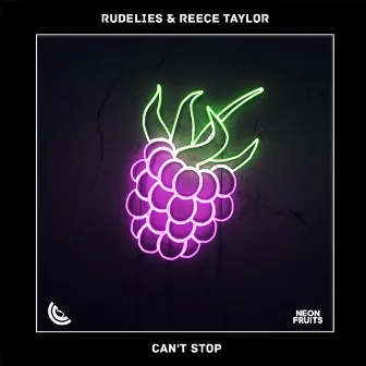 Can't Stop by Reece Taylor