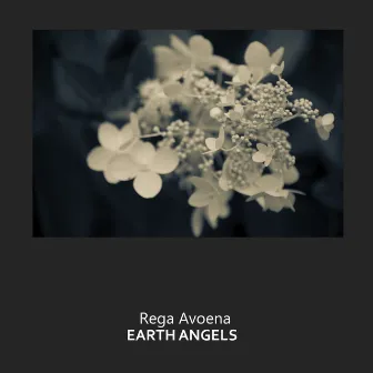 Earth Angels by Rega Avoena