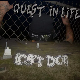 Quest in Life by Vlostdog