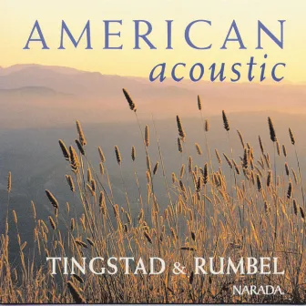 American Acoustic by Eric Tingstad