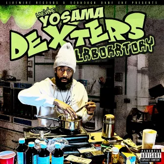 Dexters Laboratory by Yosama