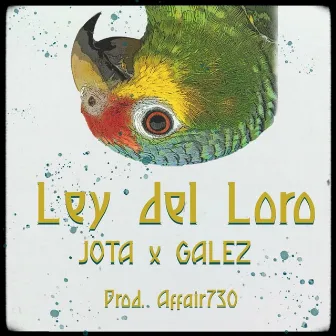 Ley del Loro by Jota