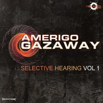 Selective Hearing Volume 1 by Amerigo Gazaway