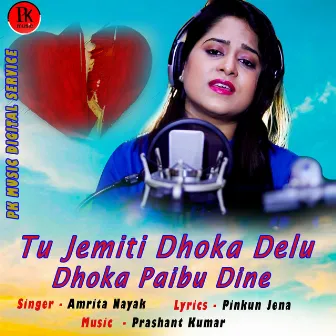 Tu Jemiti Dhoka Delu Dhoka Paibu Dine by Amita Nayak