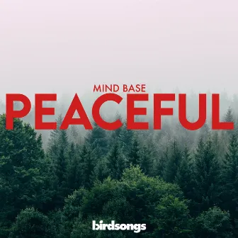 Peaceful by Mind Base