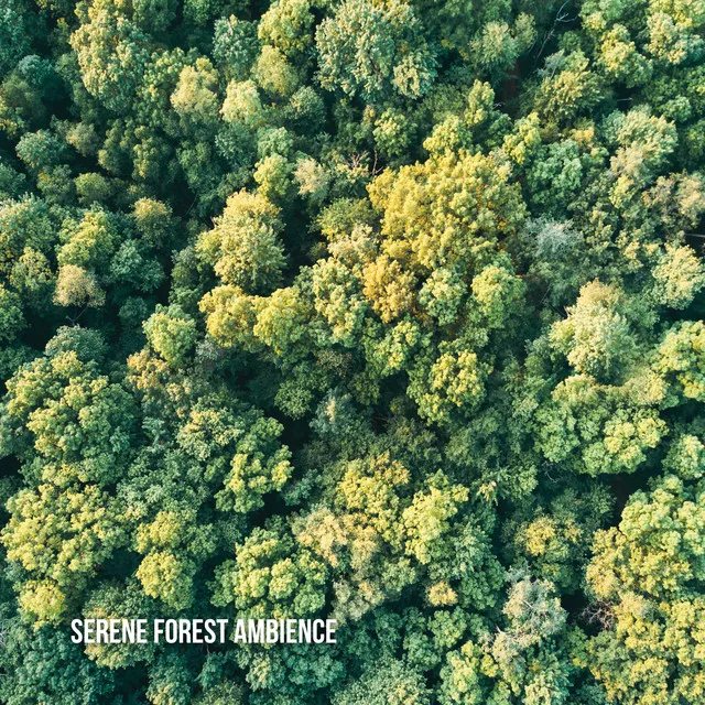 Forest Sounds FX