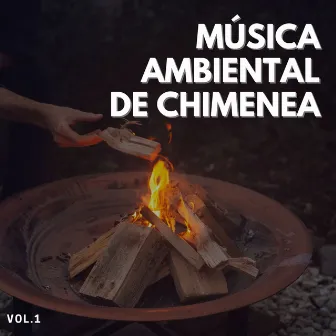 Música ambiental de chimenea, Vol. 1 by Naturalis