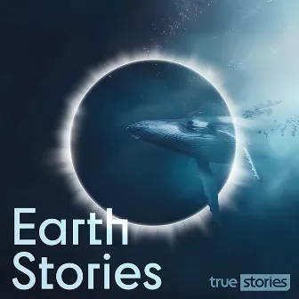 Earth Stories by Dean Mahoney