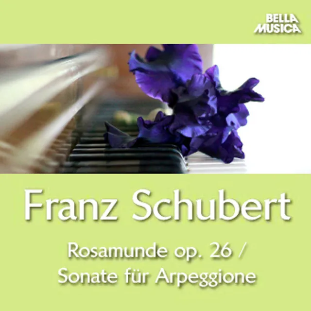 Sonate für Arpeggione und Klavier in A Minor, D. 821: II. Adagio