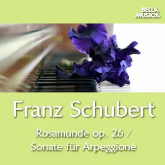 Schubert: Rosamunde, Op. 26 - Sonate, D. 821 by Felix Schwartz