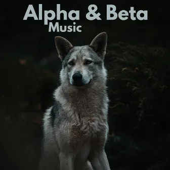 Alpha & Beta Music by Natural White Noise Relaxation