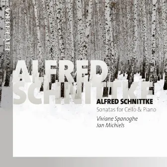 Schnittke: Sonatas for Cello & Piano by Jan Michiels