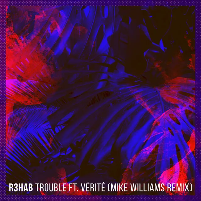 Trouble - Mike Williams Remix