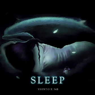 Sleep by V1eNto