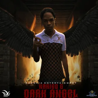 Dark Angel (Believe) by Narieo G